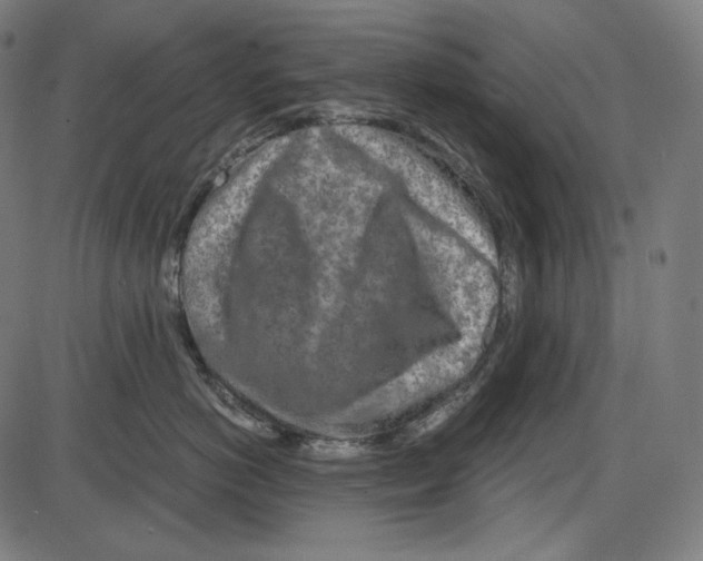 X0000084030766200703161805