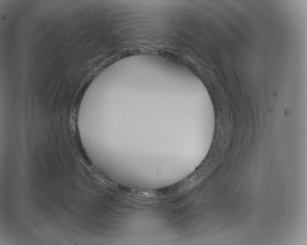 X0000084030768200703161806