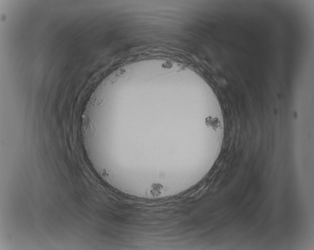 X0000084030769200703161805