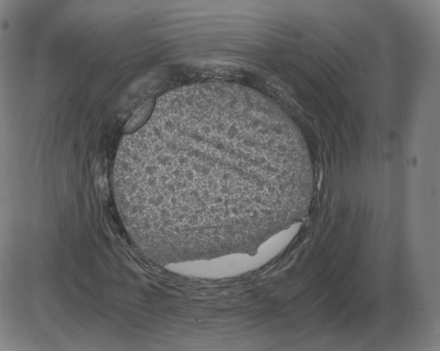 X0000084030771200703161805