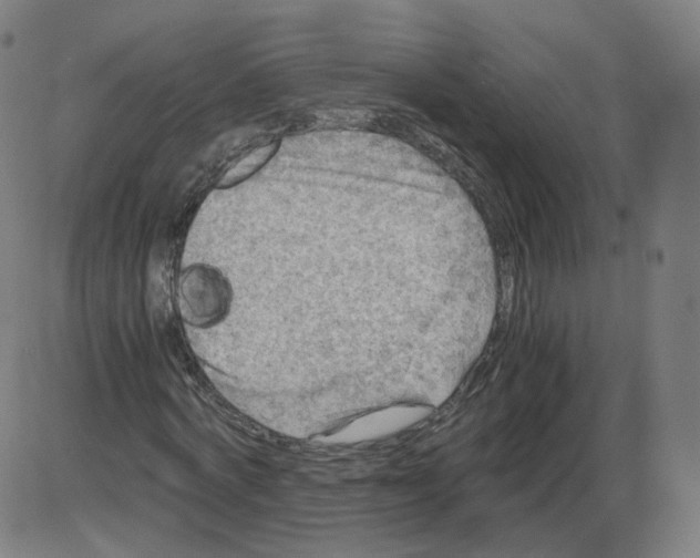 X0000084030772200703161805