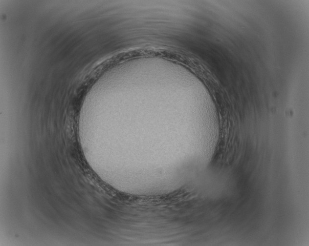 X0000084030773200703161805