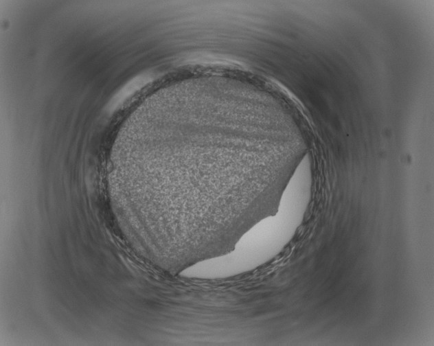 X0000084030775200703161805