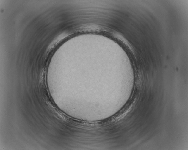 X0000084030778200703161805