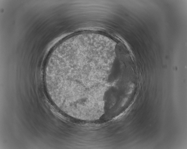 X0000084030779200703161805