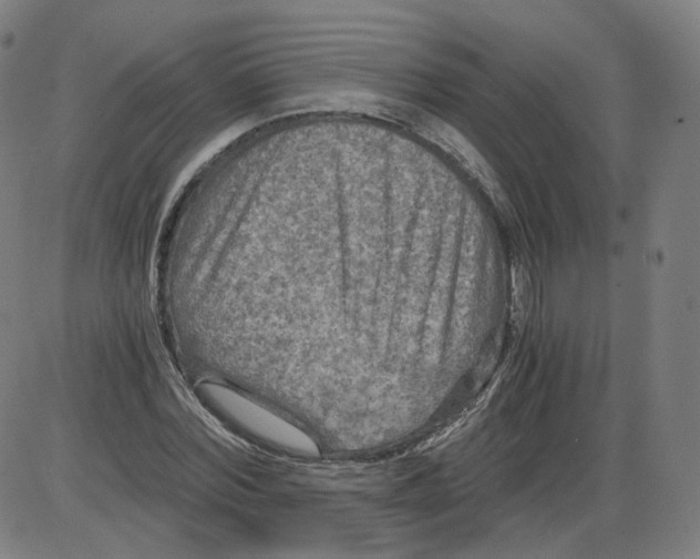 X0000084030780200703161805