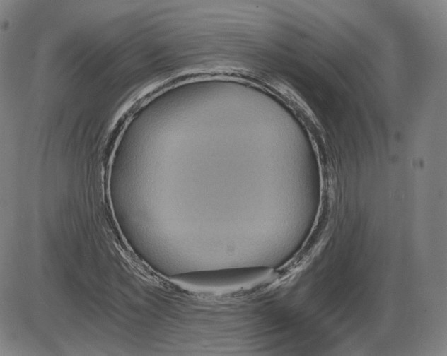 X0000084030781200703161805