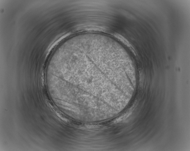 X0000084030782200703161805