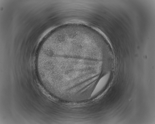 X0000084030783200703161805