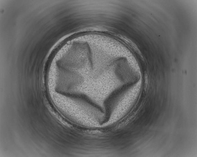 X0000084030784200703161804