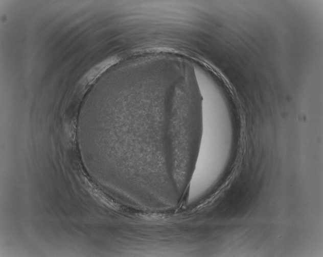 X0000084030785200703161804