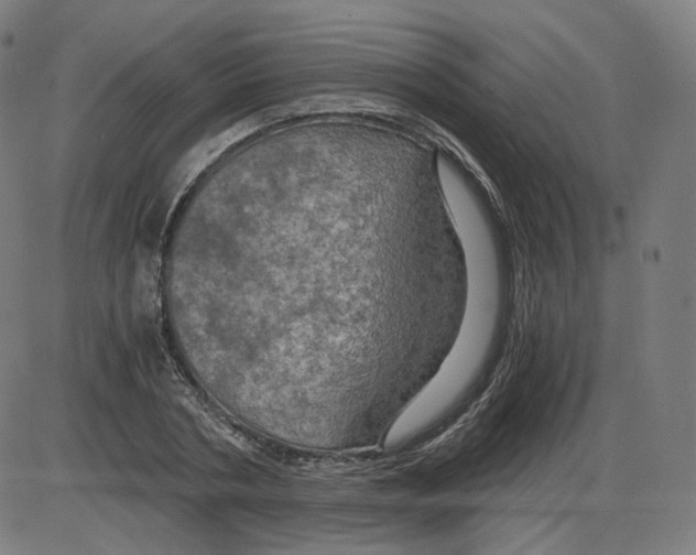 X0000084030786200703161804