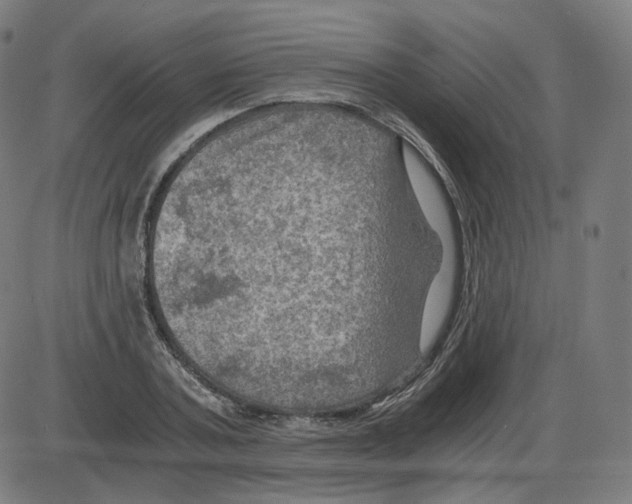 X0000084030787200703161804