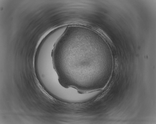 X0000084030788200703161804