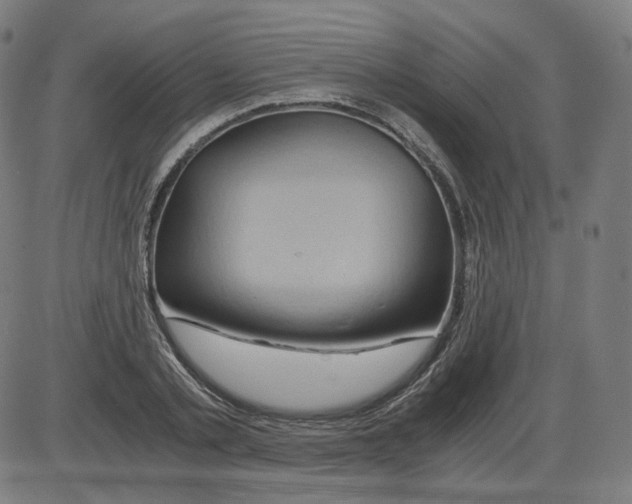 X0000084030789200703161804