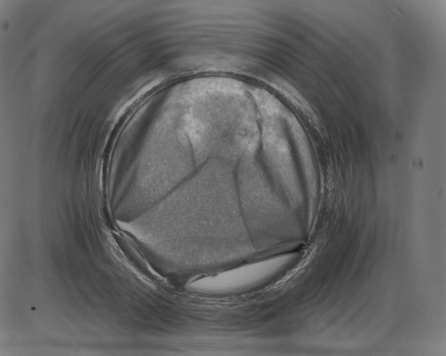 X0000084030790200703161804