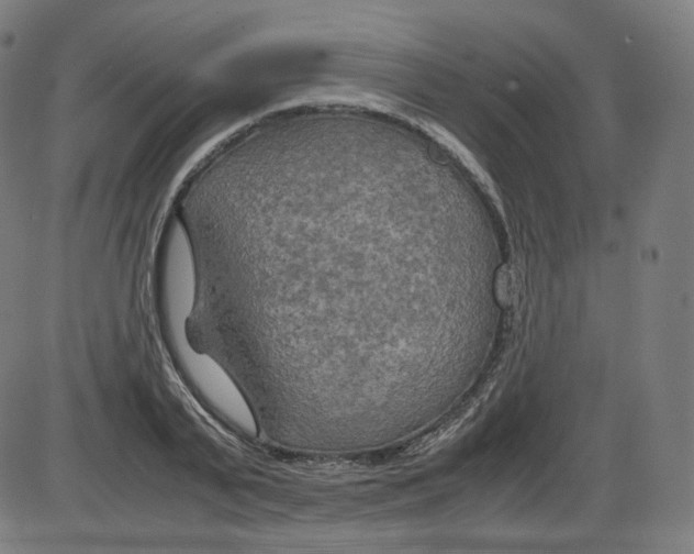 X0000084030791200703161804