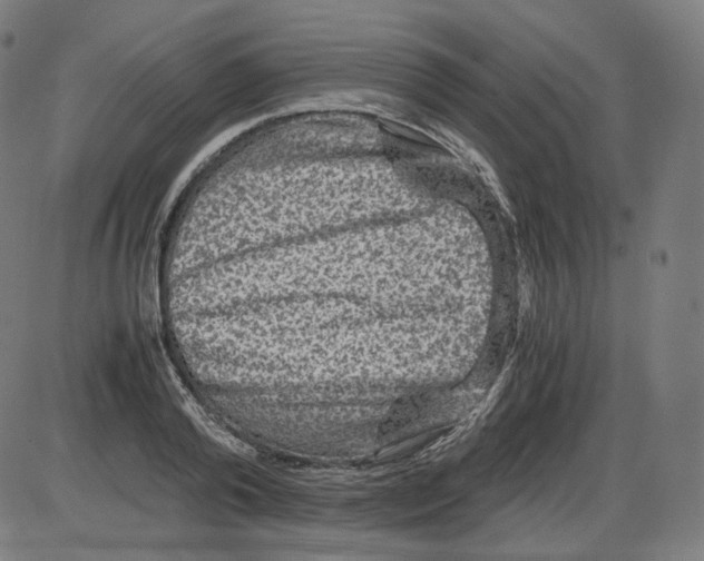 X0000084030792200703161804