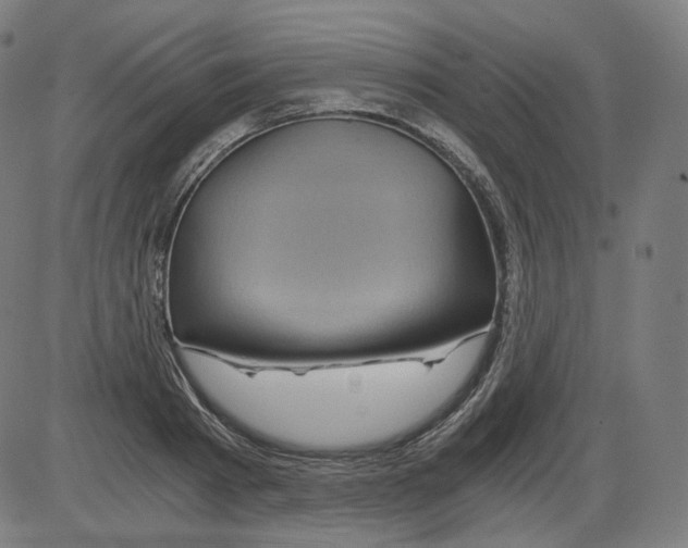 X0000084030793200703161804