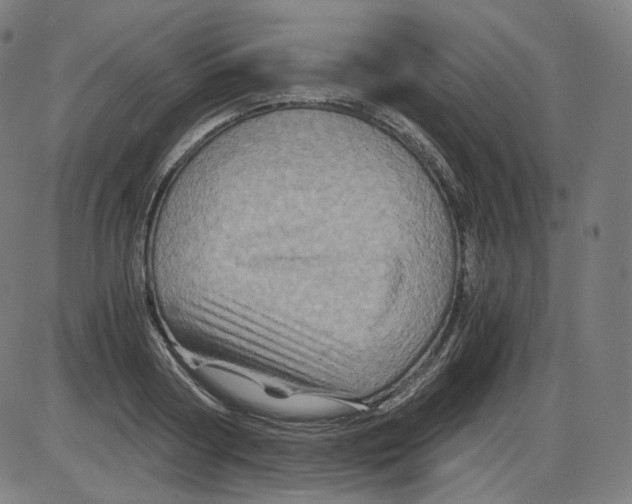 X0000084030794200703161804