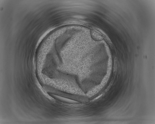 X0000084030796200703161804