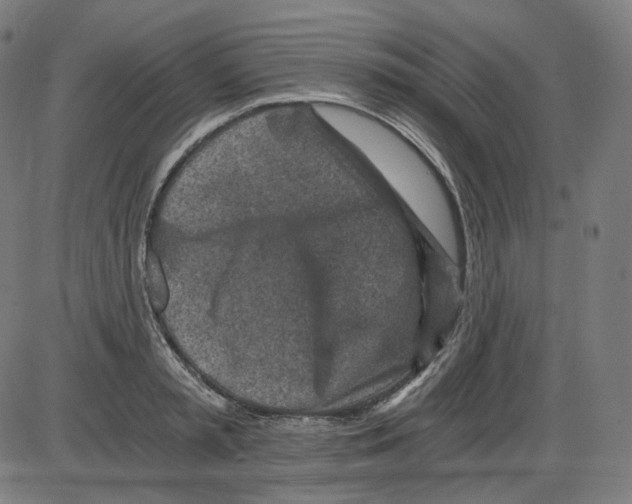 X0000084030797200703161804