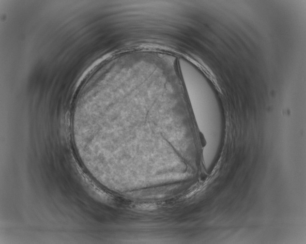 X0000084030798200703161804