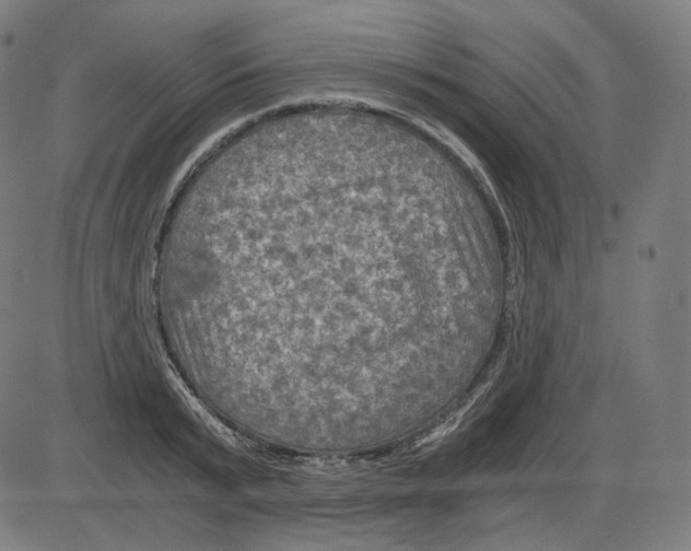 X0000084030799200703161804