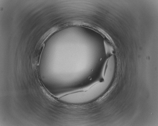 X0000084030801200703161804