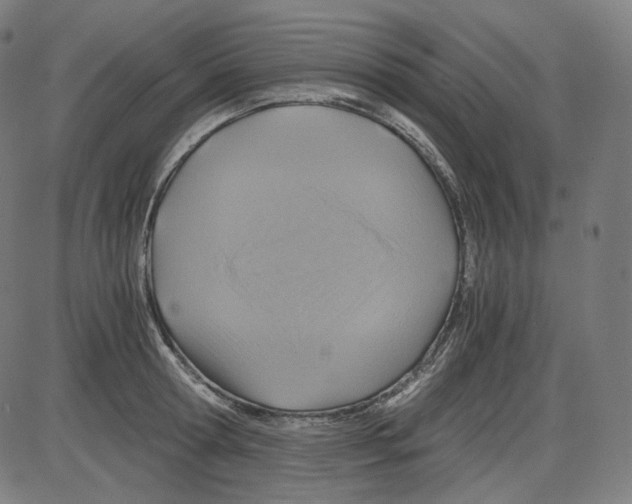 X0000084030802200703161804