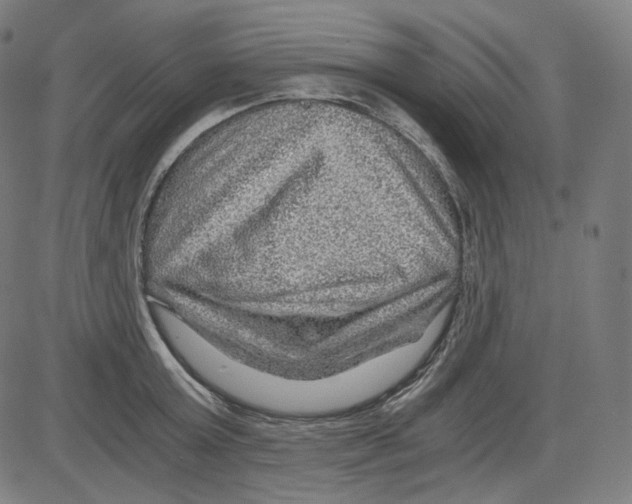 X0000084030803200703161804