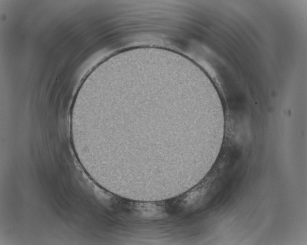 X0000084030807200703161804