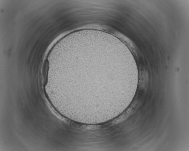 X0000084030808200703161804