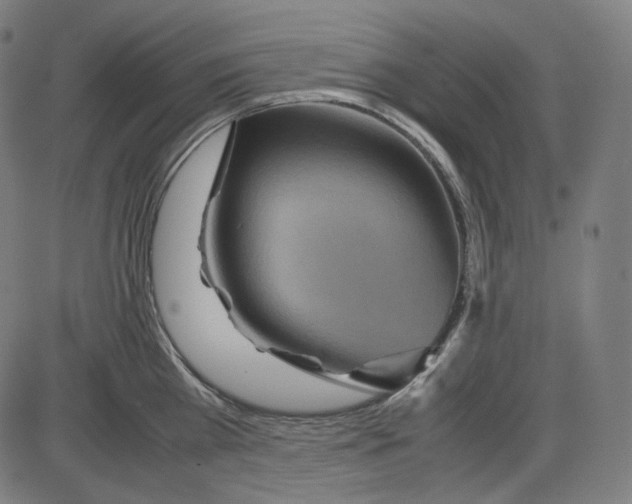 X0000084030809200703161804