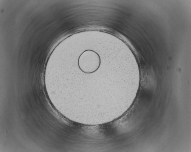 X0000084030810200703161804