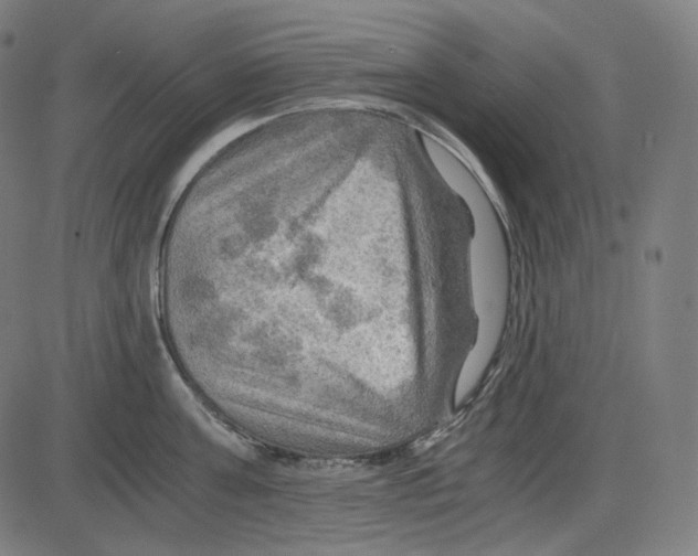 X0000084030811200703161804