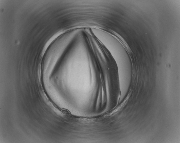 X0000084030812200703161804