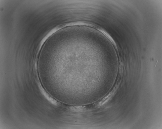 X0000084030813200703161804