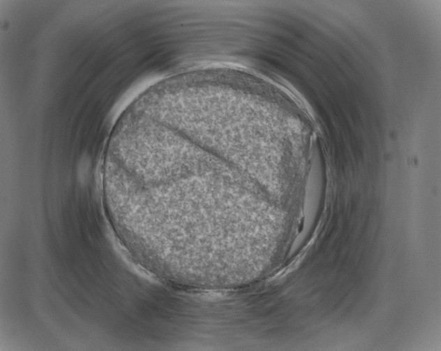 X0000084030814200703161804