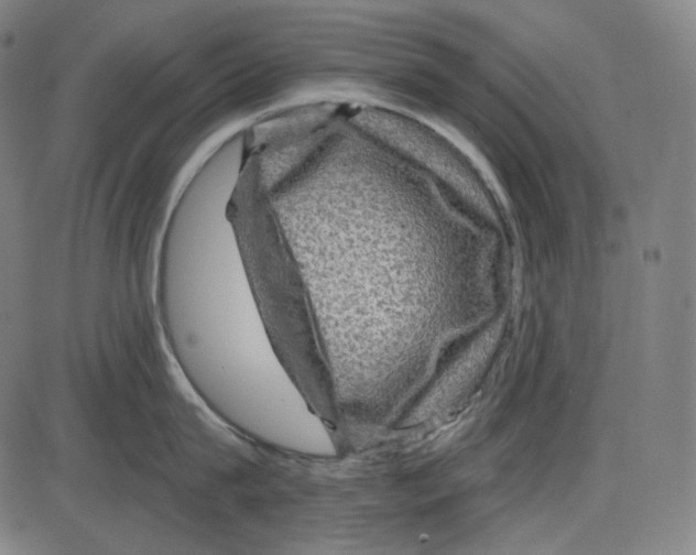 X0000084030815200703161804