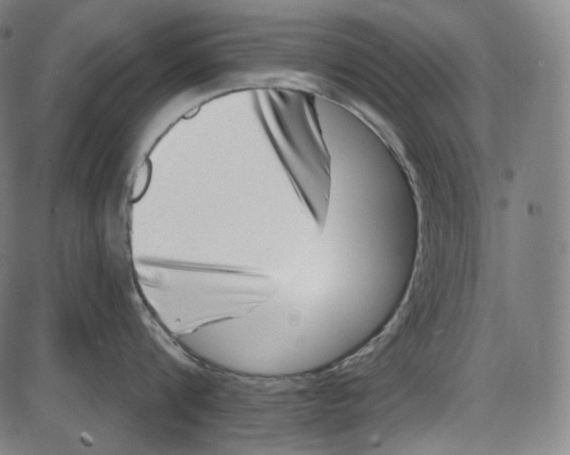 X0000084030816200703161804