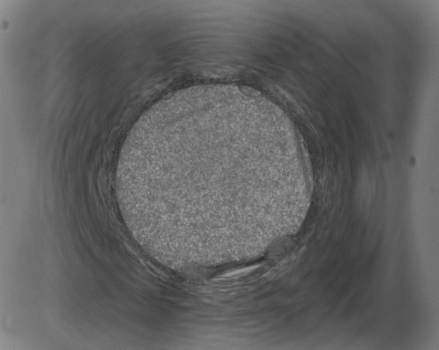 X0000084030817200703161803