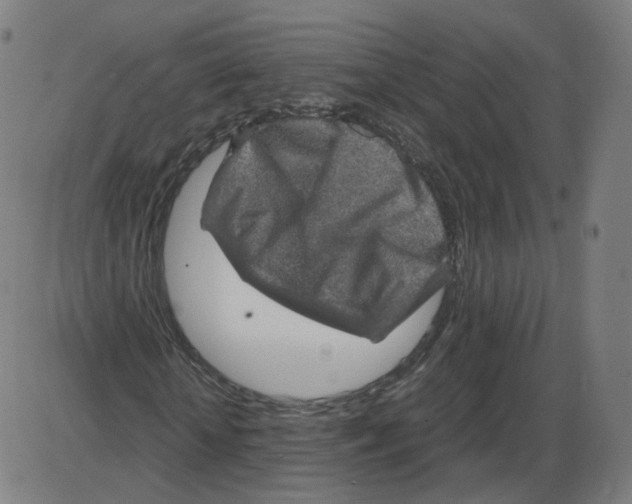 X0000084030818200703161803