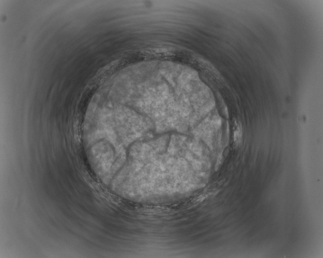 X0000084030819200703161803