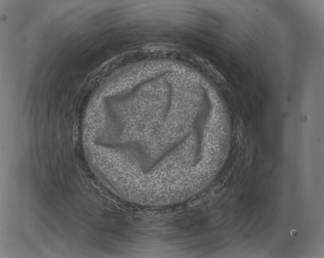 X0000084030821200703161803