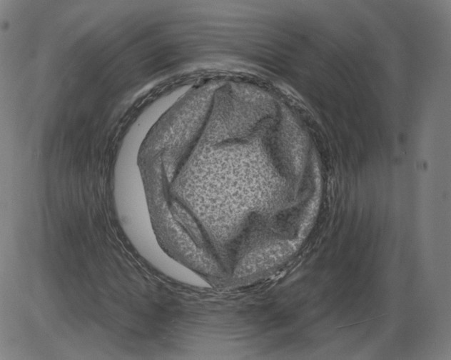 X0000084030822200703161803