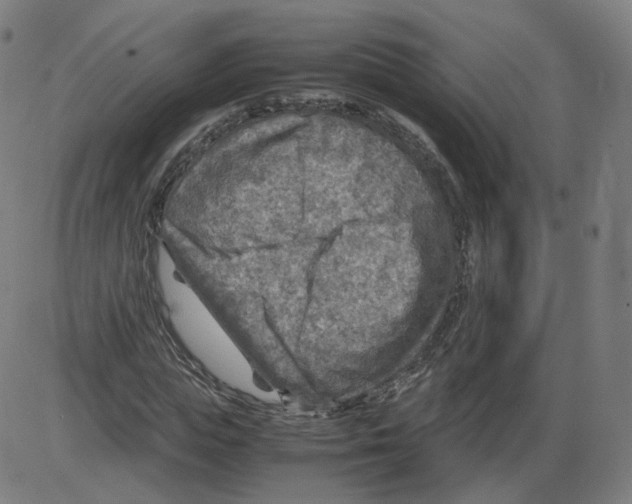 X0000084030823200703161803