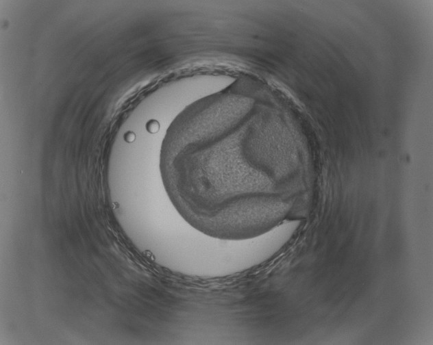 X0000084030824200703161803