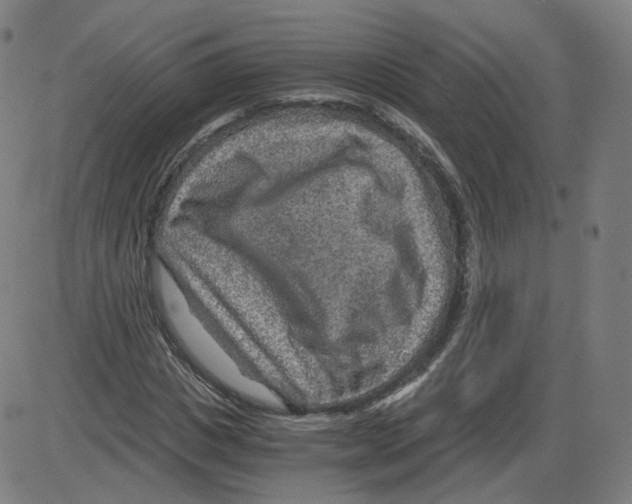 X0000084030825200703161803