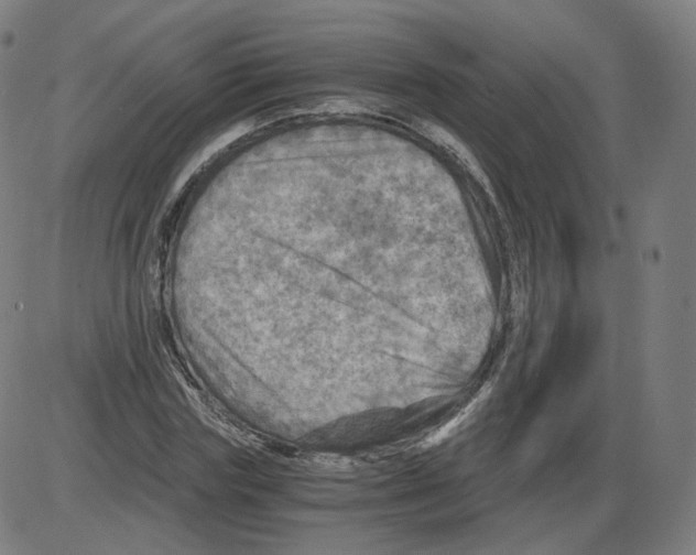 X0000084030827200703161803